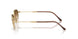 001/51 - Gold - Clear Gradient Brown
