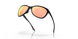 922201 - Black - Prizm Rose Gold Polarized