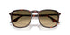 14290A - Red - Brown Vintage Gradient Black