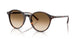 902/51 - Tortoise - Clear Gradient Brown