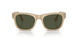 116931 - Brown - Green
