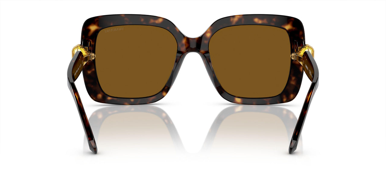 100283 - Tortoise - Polarized Brown