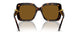 100283 - Tortoise - Polarized Brown