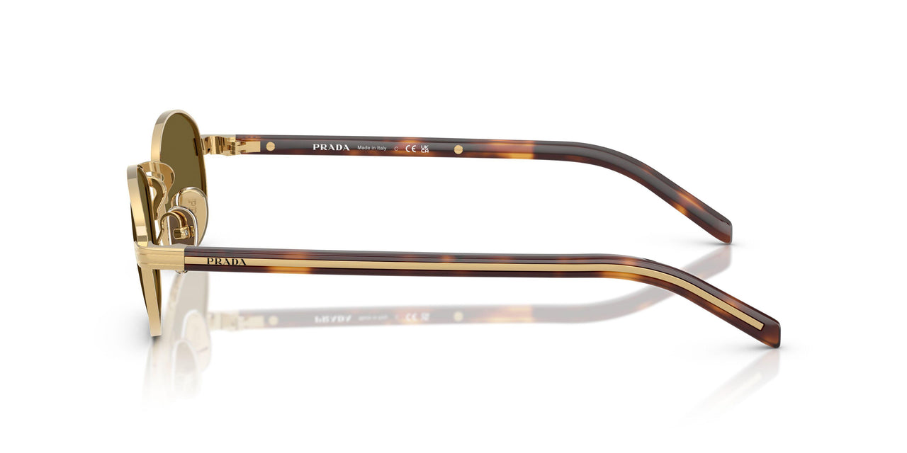 5AK09Z - Gold - Dark Brown