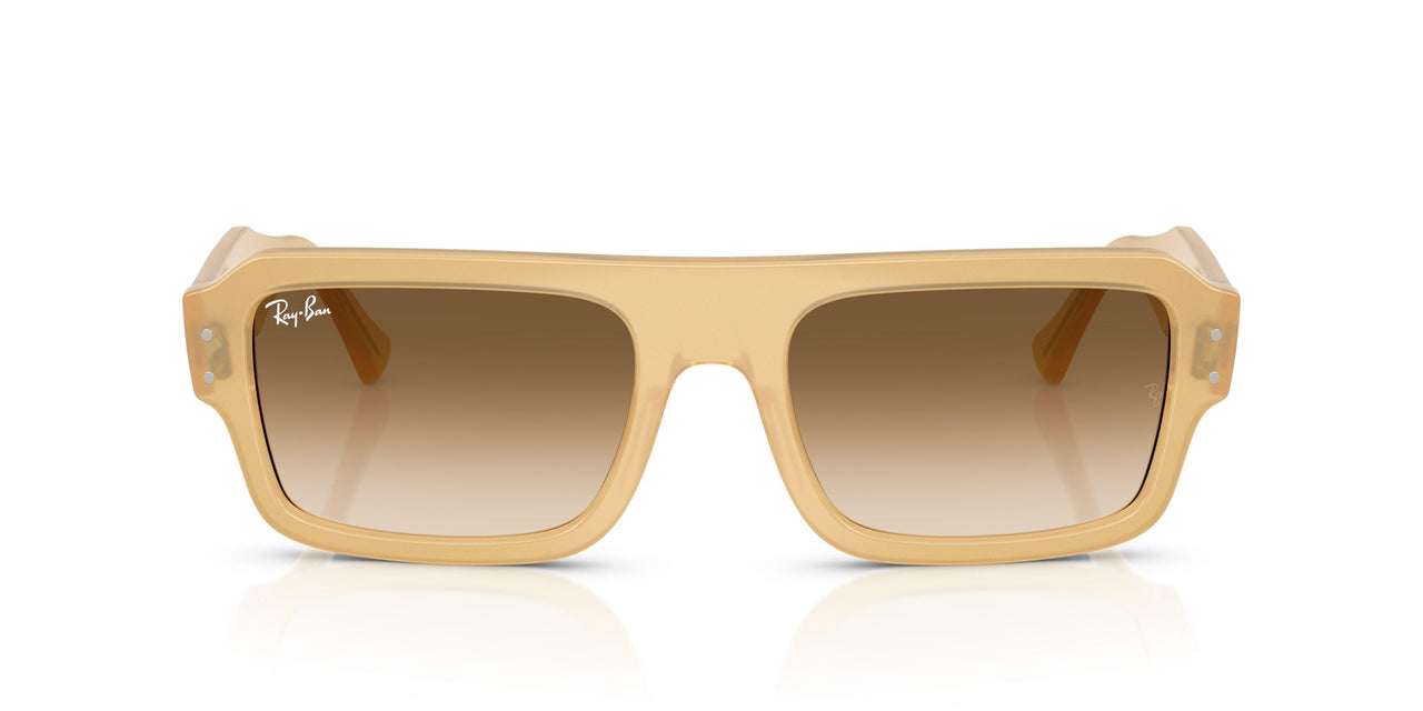 680651 - Brown - Clear Gradient Brown