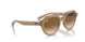616651 - White - Brown