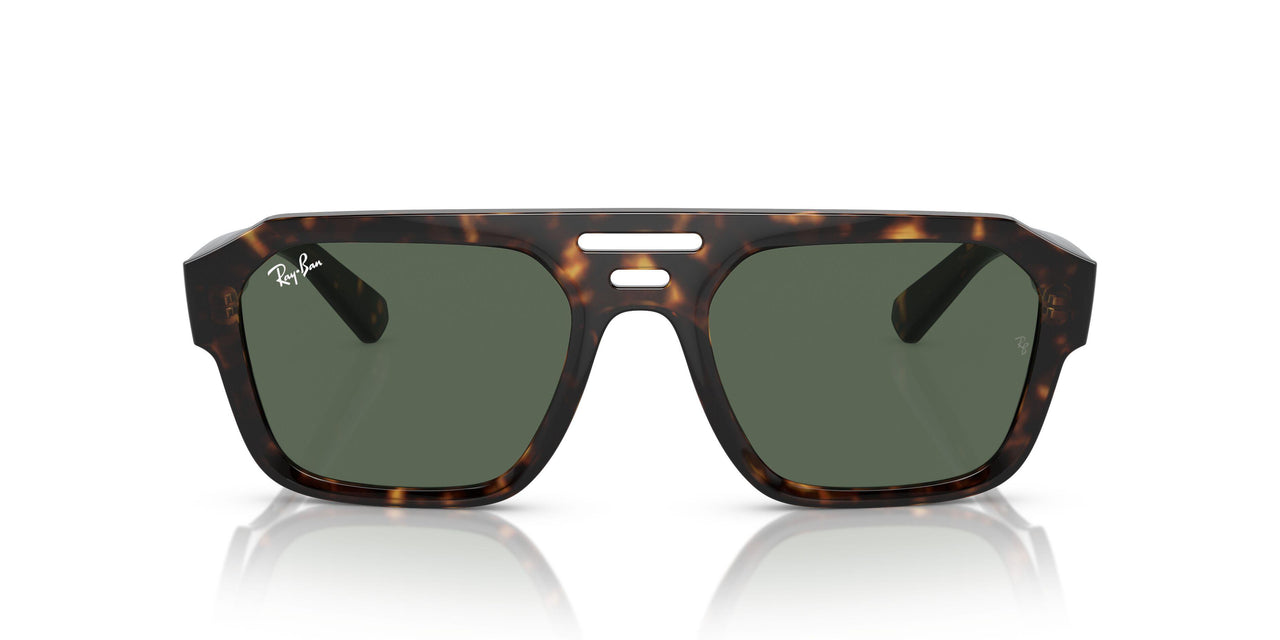 135971 - Tortoise - Dark Blue