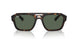 135971 - Tortoise - Dark Blue