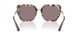 34457N - Tortoise - Purpe Brown