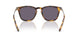 51341A - Tortoise - Purple