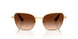 400774 - Yellow - Green Gradient Brown