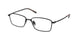 Polo 1240TD Eyeglasses