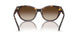 500313 - Tortoise - Gradient Brown