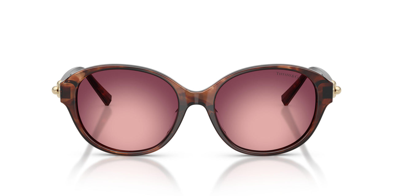 84218H - Brown - Pink/violet