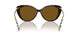 385483 - Brown - Brown Polar