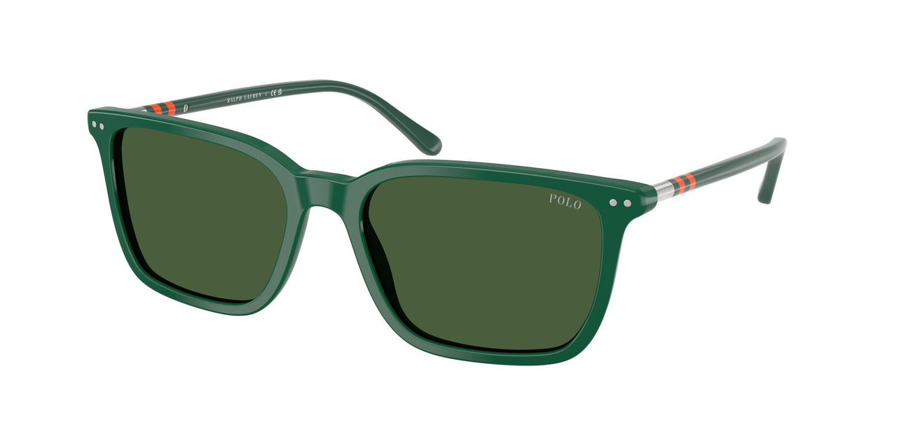 Polo 4226 Sunglasses