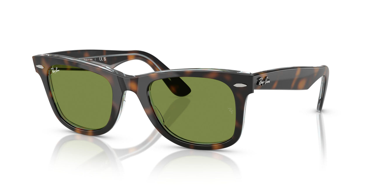 14134E - Tortoise - Green