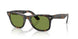 14134E - Tortoise - Green
