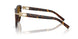 801583 - Tortoise - Dark Brown Polar
