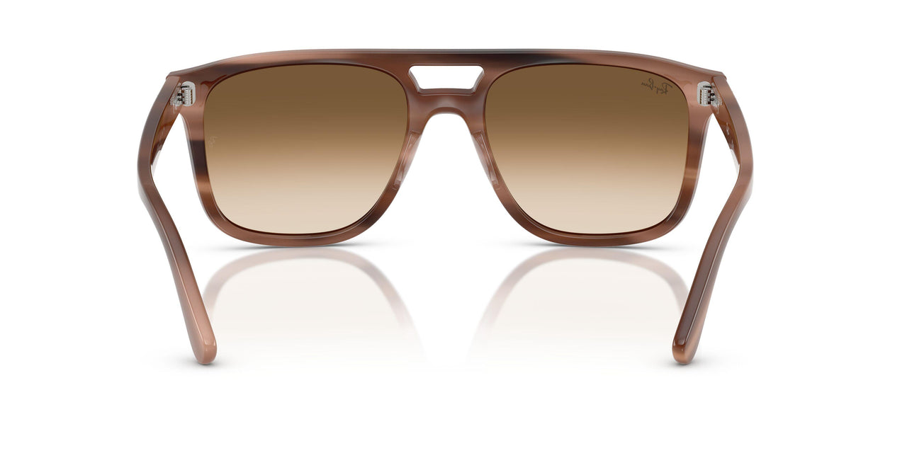 142351 - Tortoise - Clear Gradient Brown