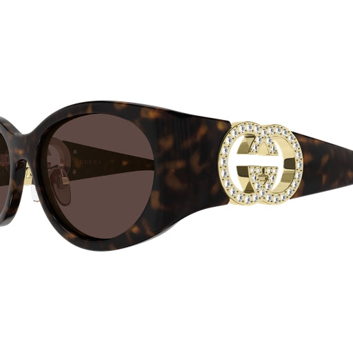 004 - Havana - Brown