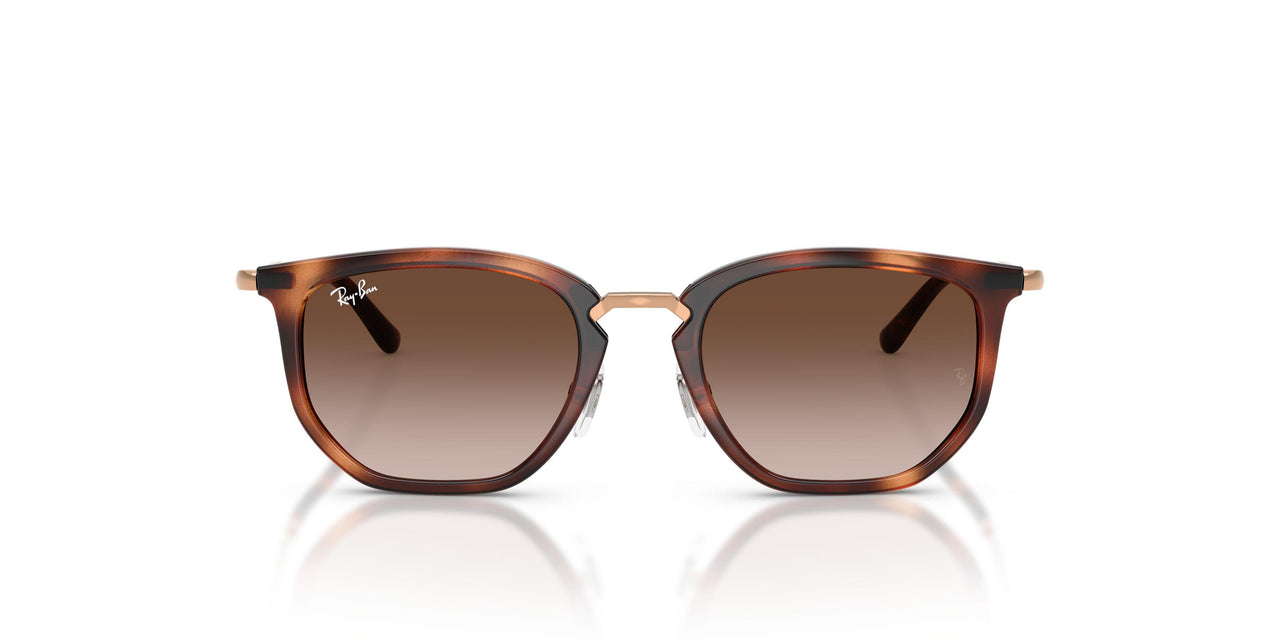 721913 - Brown - Light Brown Gradient Dark Brow