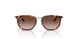 721913 - Brown - Light Brown Gradient Dark Brow