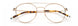 Paradigm 19-04 Eyeglasses