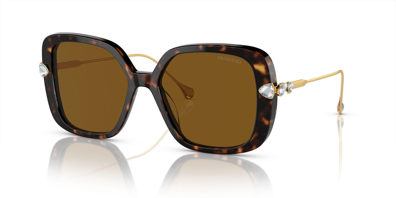 100283 - Tortoise - Polar Brown