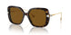 100283 - Tortoise - Polar Brown