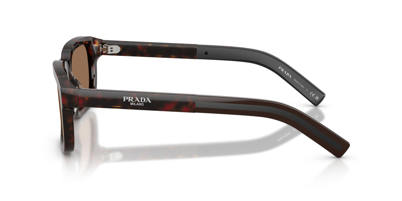 17N60M - Tortoise - Dark Brown