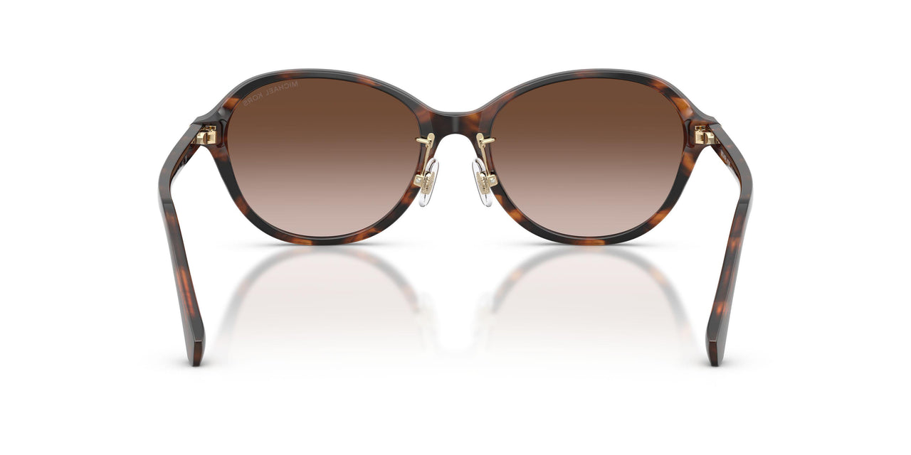 403913 - Brown - Brown Gradient