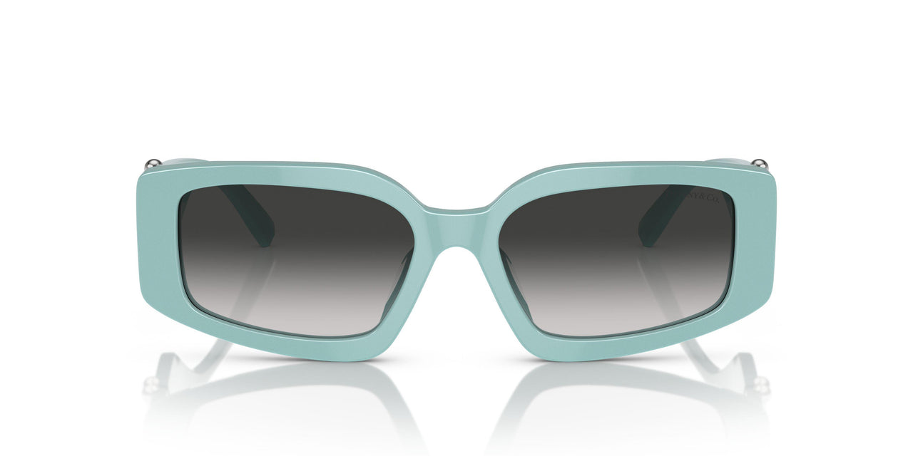 83883C - Blue - Grey Gradient