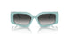 83883C - Blue - Grey Gradient