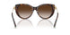 80153B - Tortoise - Brown Gradient