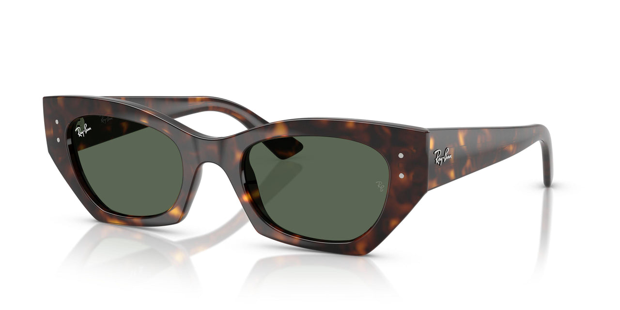 135971 - Tortoise - Dark Green