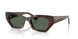 135971 - Tortoise - Dark Green