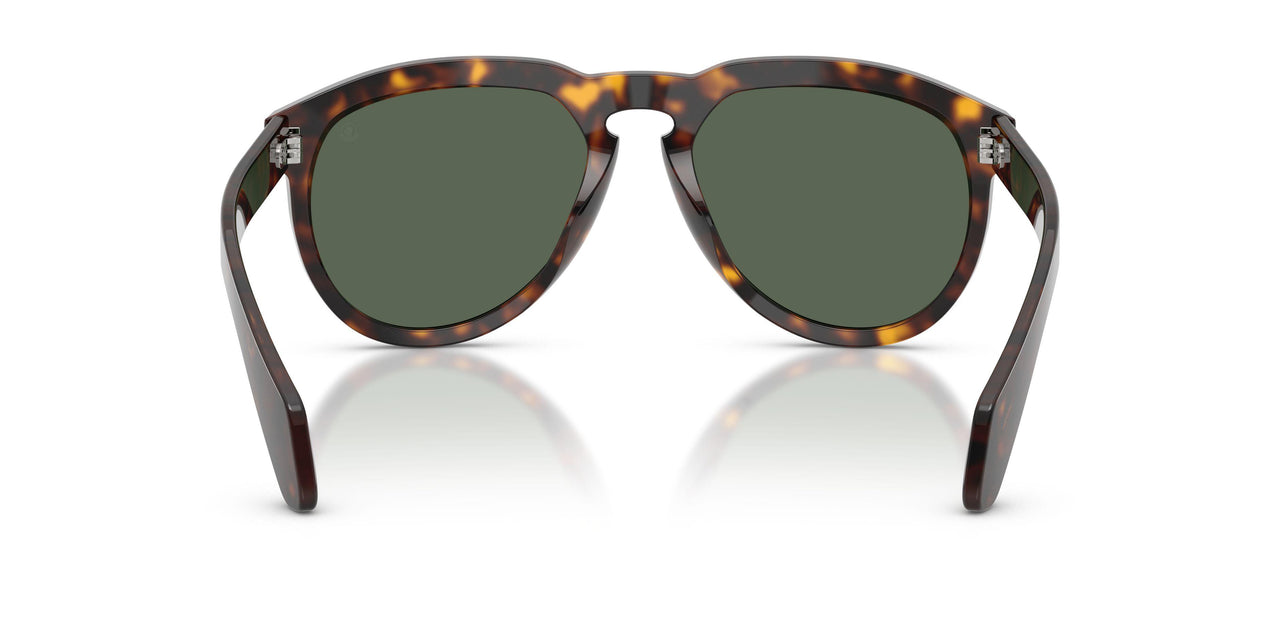 300271 - Tortoise - Solid Dark Green