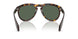 300271 - Tortoise - Solid Dark Green