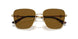 300683 - Gold - Polarized Brown