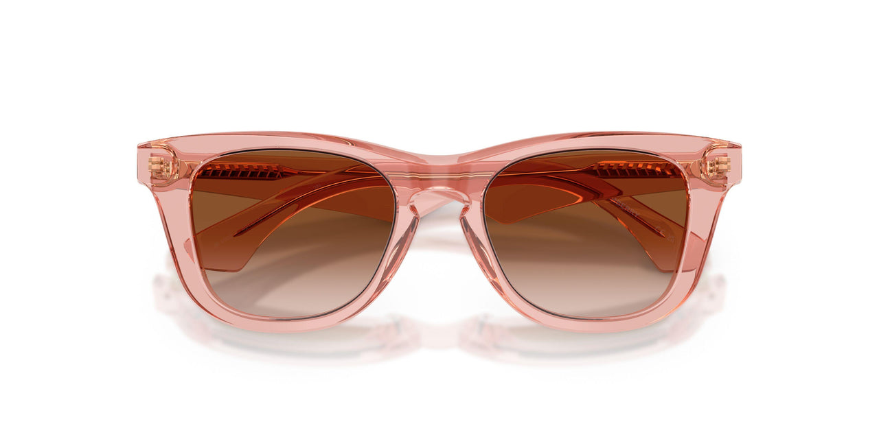 421413 - Pink - Brown Gradient