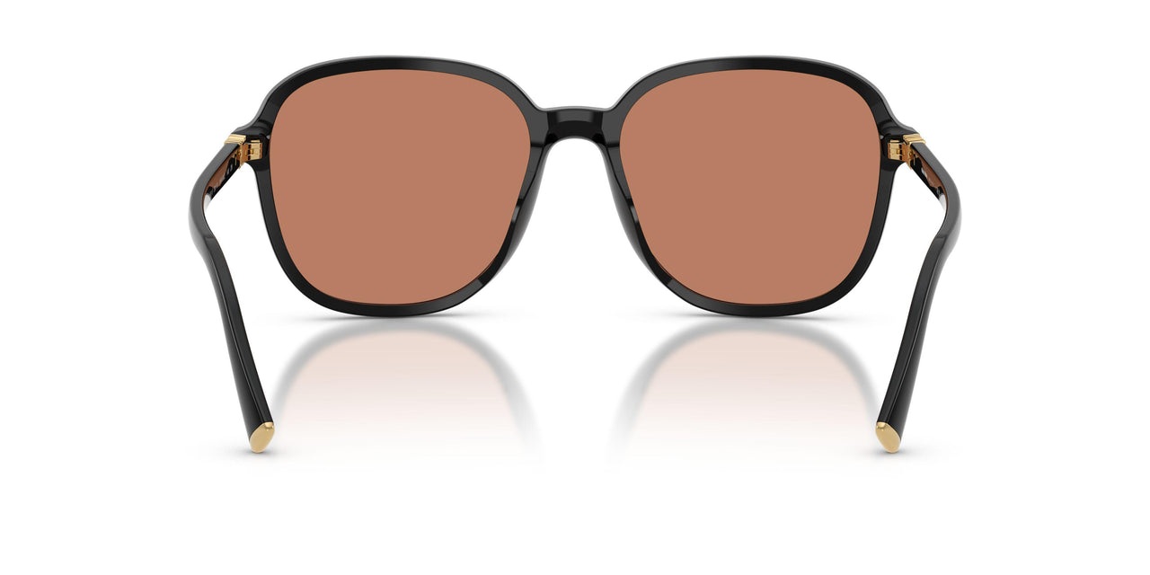 16K90Q - Black - Brown