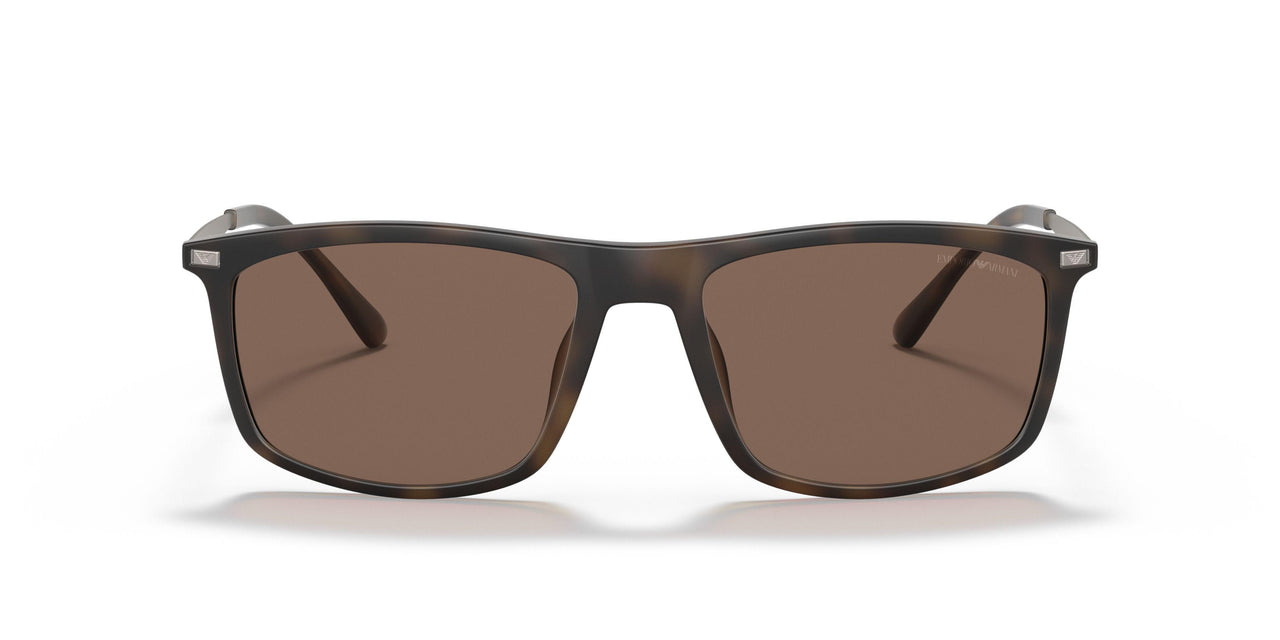 500273 - Havana - Dark Brown