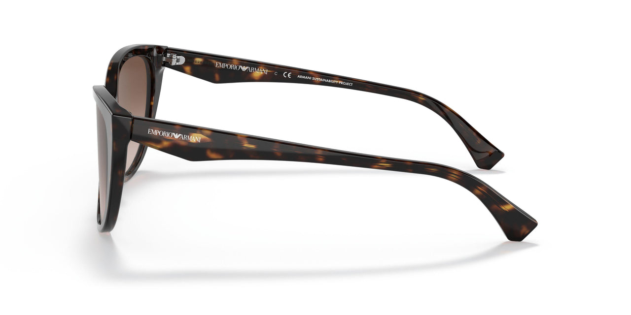 587913 - Havana - Gradient Brown