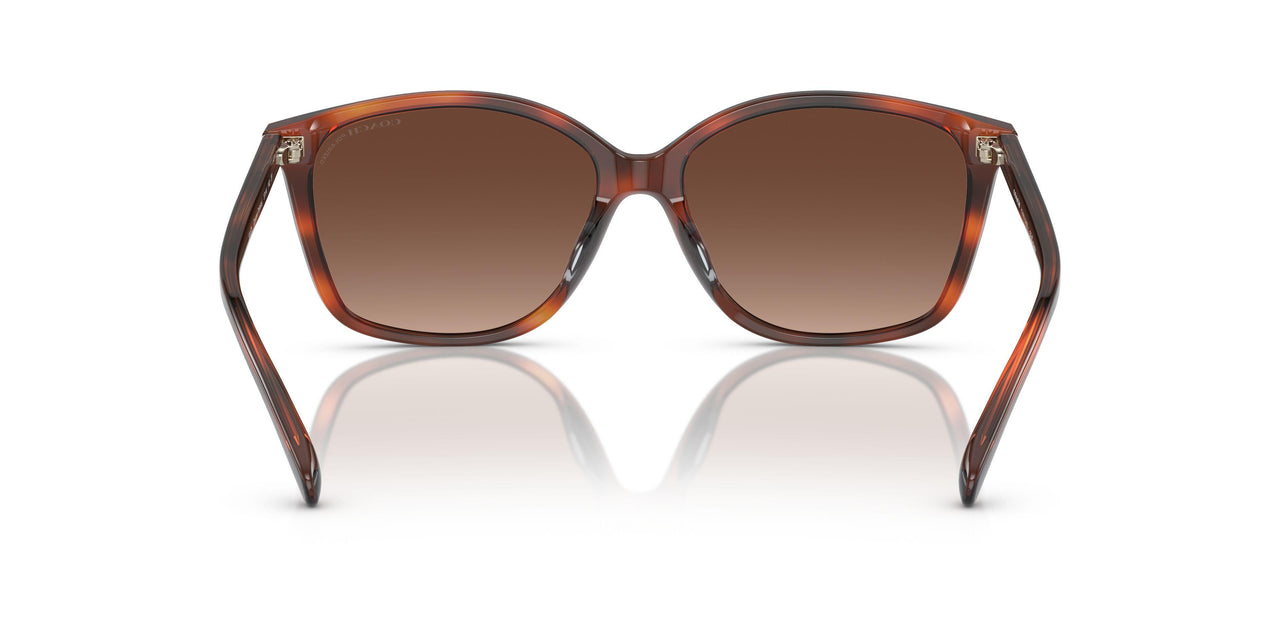 5741T5 - Tortoise - Brown Gradient Polarized