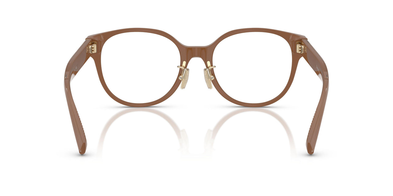 8423 - Brown