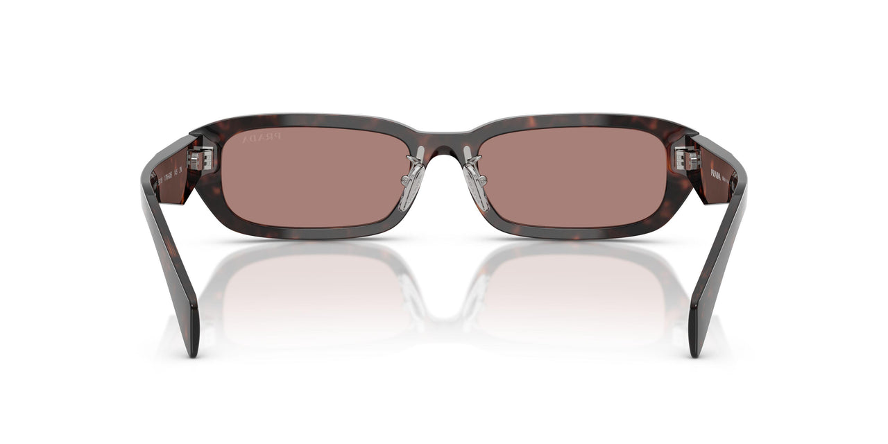 17N60B - Tortoise - Light Brown
