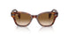 954/51 - Havana - Clear Gradient Brown