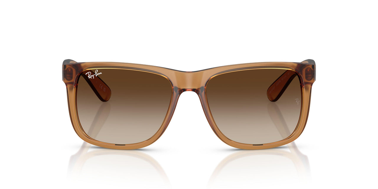 681413 - Brown - Gradient Brown