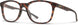 102791N9P5418 - Matte Tortoise